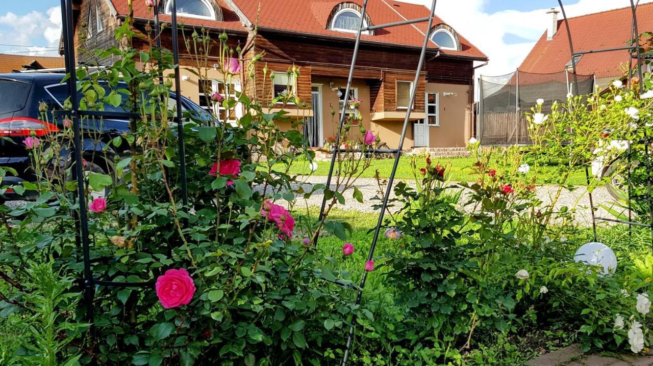 Lend Apartment Miercurea Ciuc Dış mekan fotoğraf